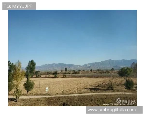 斯通斯的传奇之旅探寻摇滚乐的灵魂与历史的交汇